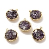 Natural Amethyst Chip Pendants KK-C242-05G-16-2
