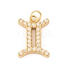 316 Stainless Steel Micro Pave Cubic Zirconia Pendants LS-STAS-K284-01I-G-1