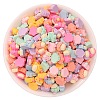 Opaque Resin Imitation Food Decoden Cabochons RESI-K027-13-1
