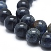 Natural Dumortierite Quartz Bead Strands G-I224-03-10mm-3