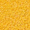 MIYUKI Delica Beads X-SEED-J020-DB1592-3