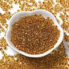 Transparent Colours Glass Seed Beads X1-SEED-P006-02A-15-2