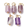 Natural Amethyst Column Charms with 304 Stainless Steel Jump Rings G-Q032-01D-1