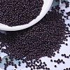 MIYUKI Round Rocailles Beads X-SEED-G007-RR2005-1