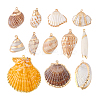 12Pcs 12 Styles Electroplated Natural Shell Pendants BSHE-PH0001-56-6