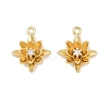 Brass Micro Pave Clear Cubic Zirconia Charms KK-G544-07G-03-1