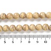 Natural Rainbow Alashan Agate Beads Strands G-NH0022-A-02-6