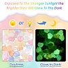 Luminous Transparent Acrylic Beads LACR-TA0001-07A-5