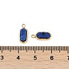 Natural Lapis Lazuli Rectangle Charms STAS-I325-141A-G-3