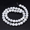 Round Natural Howlite Bead Strands LS-G-F222-14-8mm-3