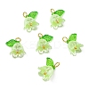 Acrylic Pendants OACR-D012-01E-2