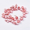 Natural Baroque Pearl Keshi Pearl Beads Strands BSHE-P026-32-8