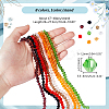 8 Strands 8 Colors Imitation Austrian Crystal 5301 Bicone Beads GLAA-GA0001-90B-2
