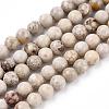 Natural Maifanite/Maifan Stone Beads Strands G-F353-8mm-5