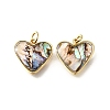 Natural Paua Shell & Epoxy Resin Charms KK-E794-02G-05-1