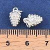 925 Sterling Silver Charms STER-I024-01S-3