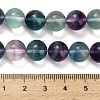 Natural Fluorite Beads Strands G-L634-B04-10mm-5