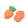 Opaque Resin Cabochons CRES-M037-16-2