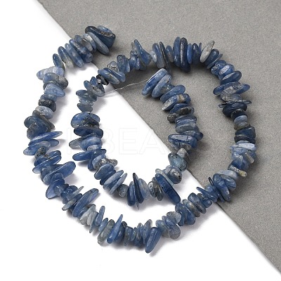 Natural Kyanite/Cyanite/Disthene Chip Beads Strands G-E271-78-1