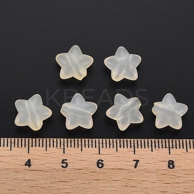 Transparent Acrylic Beads MACR-S373-26E-11-1