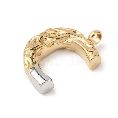 304 Stainless Steel Pendants STAS-Z170-01GP-C-1