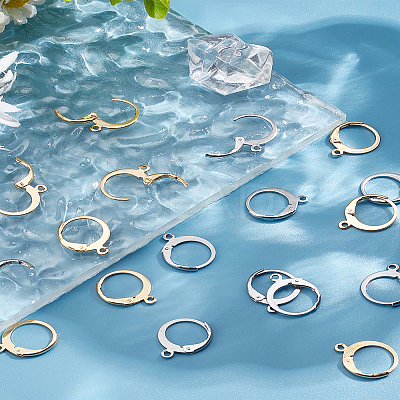 20Pcs 2 Colors 304 Stainless Steel Leverback Earring Findings STAS-LP0001-71-1