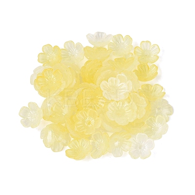 Transparent Plastic Bead Caps KY-Q005-02A-02-1