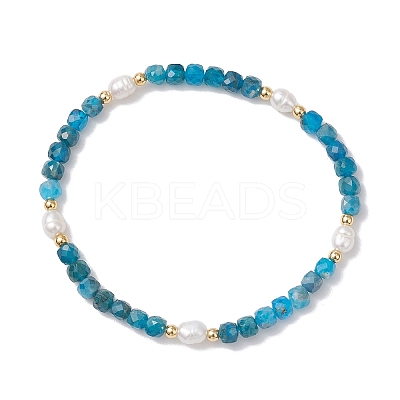 Natural Apatite & Cultured Freshwater Pearl Beads Stretch Bracelets for Women BJEW-JB12734-02-1