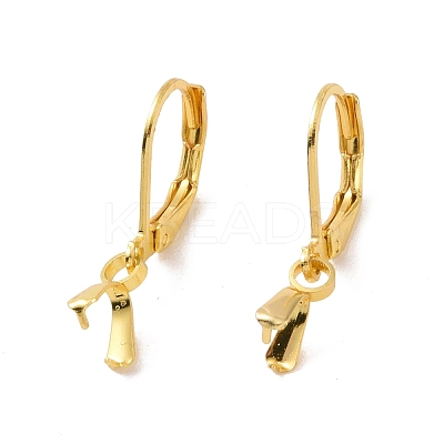 304 Stainless Steel Leverback Earring Findings STAS-G283-01G-1