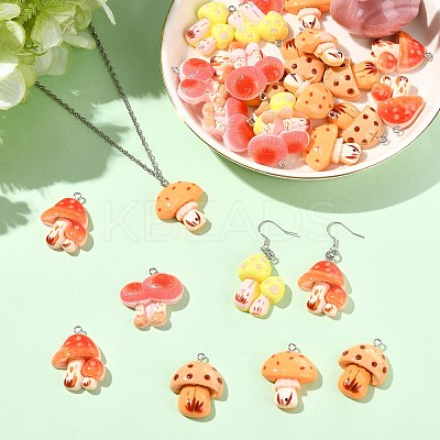 30Pcs 5 Styles Resin Pendants RESI-CJ0005-20-1