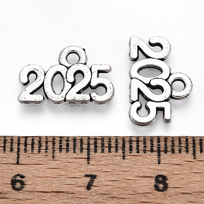 Tibetan Style Alloy Charms TIBE-N012-11AS-NF-1