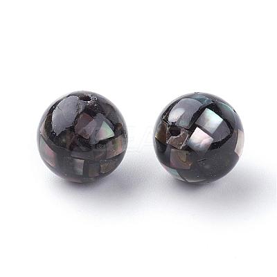Natural Black Lip Shell Beads SSHEL-Q298-10mm-10-1