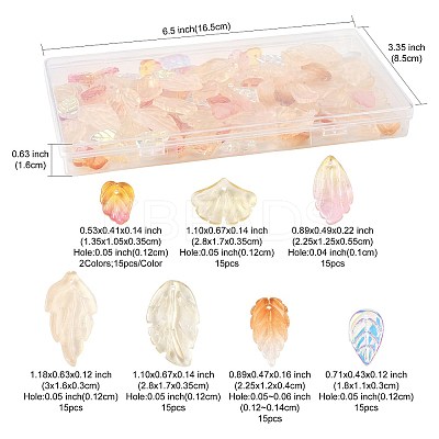 120Pcs 8 Styles Autumn Theme Two-Tone Transparent Glass Charms GLAA-FS0002-56-1