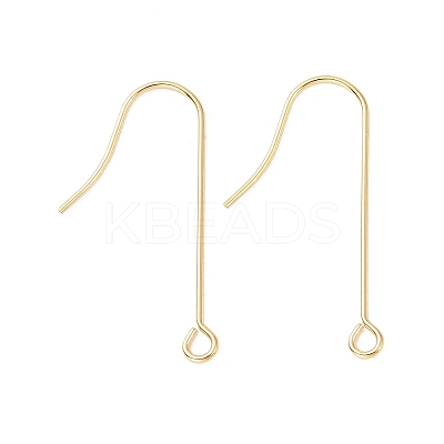 316 Surgical Stainless Steel Earring Hooks X-STAS-E027-02B-G-1