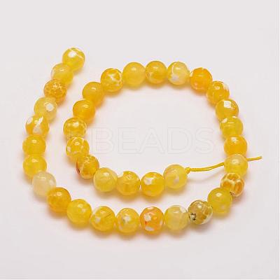 Natural Fire Crackle Agate Bead Strands G-G882-10mm-B05-5-1