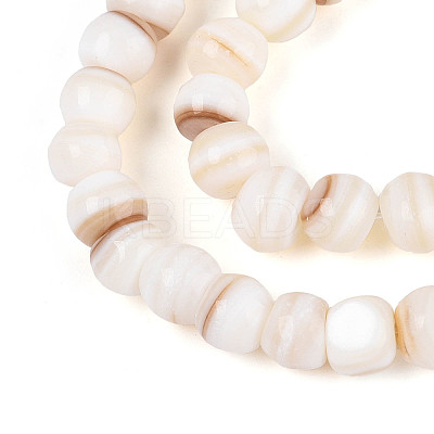 Natural Freshwater Shell Beads Strands SHEL-N038-04-1