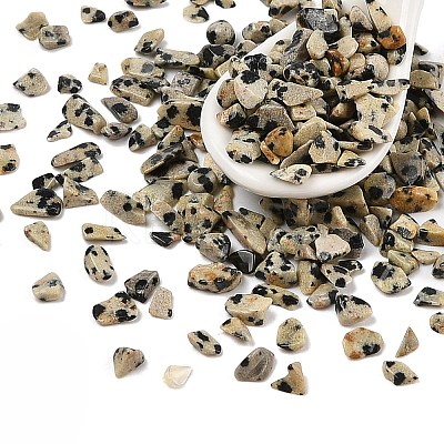 Pandahall Natural Dalmatian Jasper Chip Beads G-M055-04-1