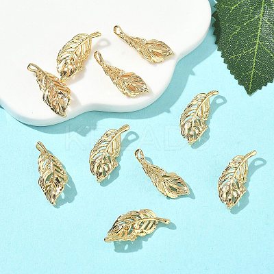 SHEGRACE Brass Pendants XGRQ3D001-506G-1