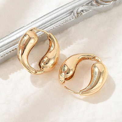 Brass Hoop Earrings for Women LS-EJEW-U041-09G-1