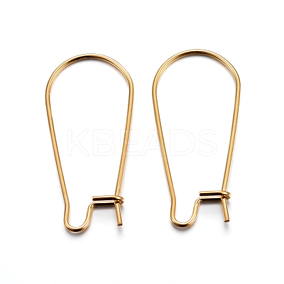 304 Stainless Steel Hoop Earrings X-STAS-P223-01G-01-1