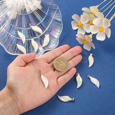 Natural Trochid Shell/Trochus Shell Pendants LS-BSHE-CJC0002-13-1