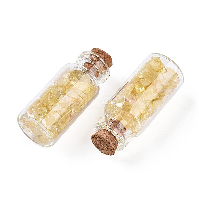 Glass Wishing Bottle Display Decorations AJEW-T013-02A-1