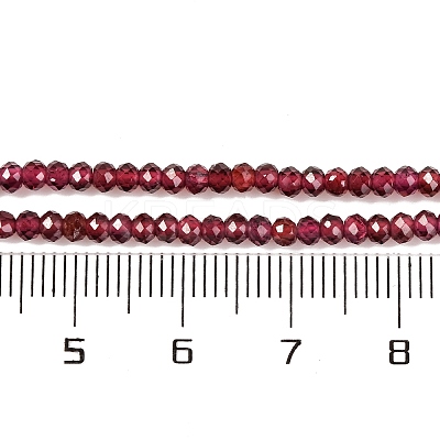Natural Garnet Beads Strands X-G-F770-D02-02-1