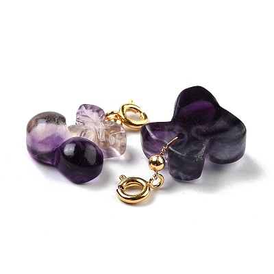 Natural Fluorite Carved Pendants G-J387-96-1
