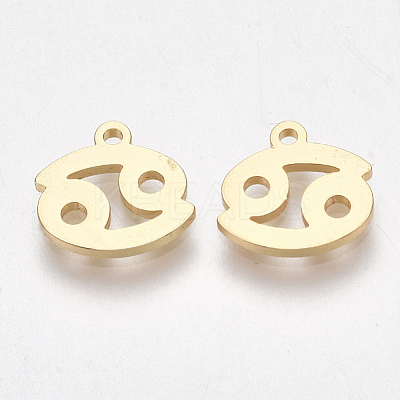 Ion Plating(IP) 304 Stainless Steel Charms X-STAS-S107-06J-1
