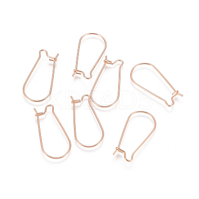 304 Stainless Steel Hoop Earring Findings LS-STAS-E484-66B-RG-1