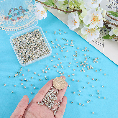 50G Glass Seed Beads SEED-PA0001-36C-01-1