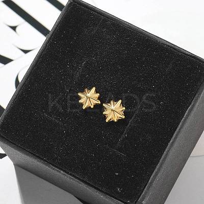 304 Stainless Steel Stud Earrings for Women STAS-Z117-17G-01-1
