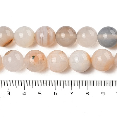 Natural Dendritic Agate Beads Strands G-A248-A07-05-1