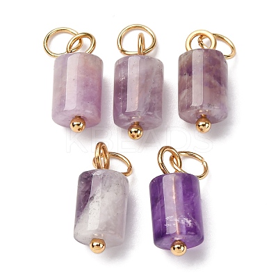 Natural Amethyst Column Charms with 304 Stainless Steel Jump Rings G-Q032-01D-1